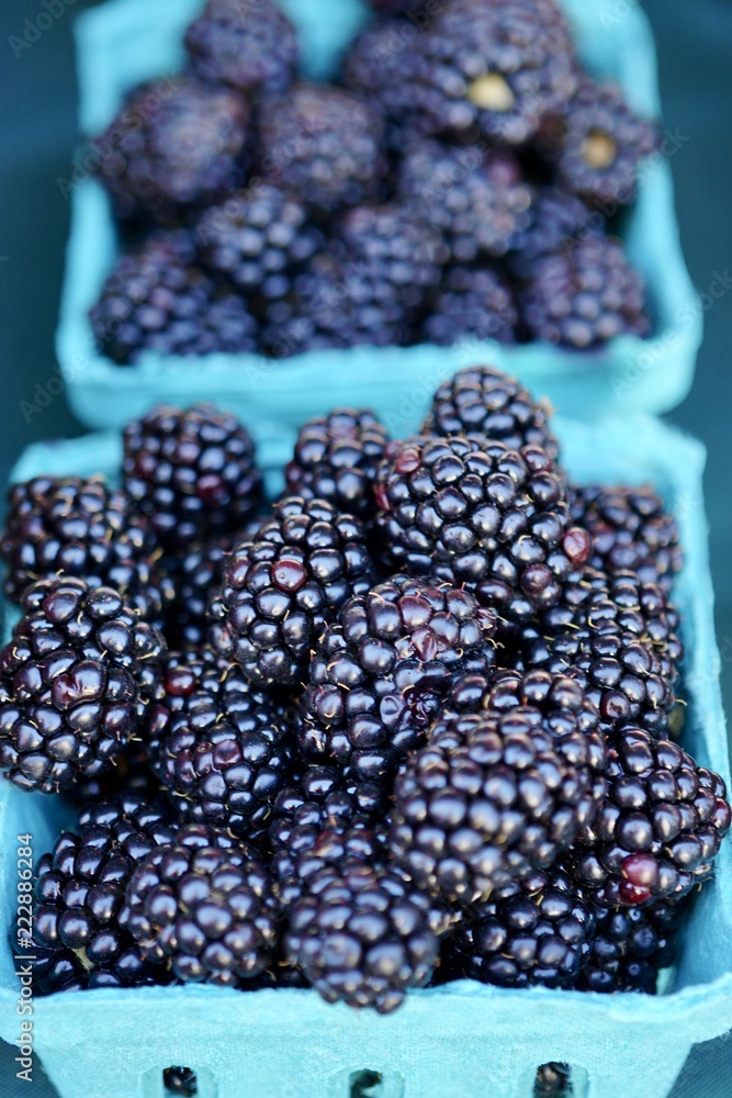 Blackberries