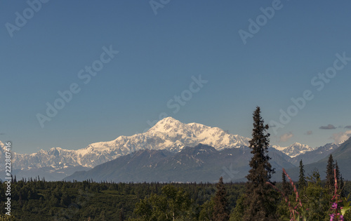 View of Denali (formerly Mount McKinley), "The High One" in Athabascan, against a blue sky in summertime. Tallest mountain in North America, Alaska, USA. 