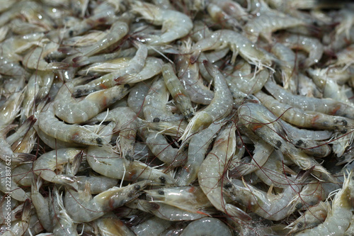shrimps for sell © libin