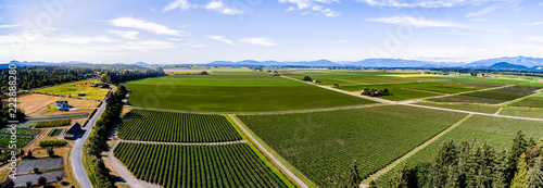 Skagit Valley photo