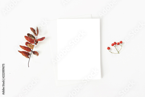 Autumn minimalist stationery mockup scene. Composition of plank paper greeting card, envelope and red dry rowan leaf and berries on white table background. Flat lay, top view. Botanical arrangement.