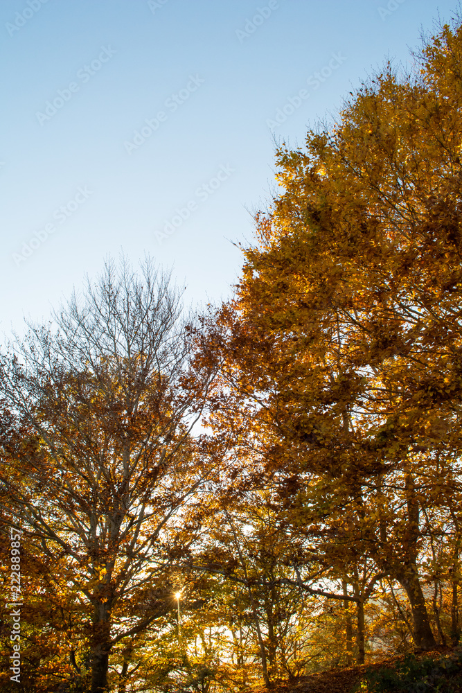 Fall season at the Montseny in Catalonia, Spain. Fall season at the Montseny in Catalonia, Spain.