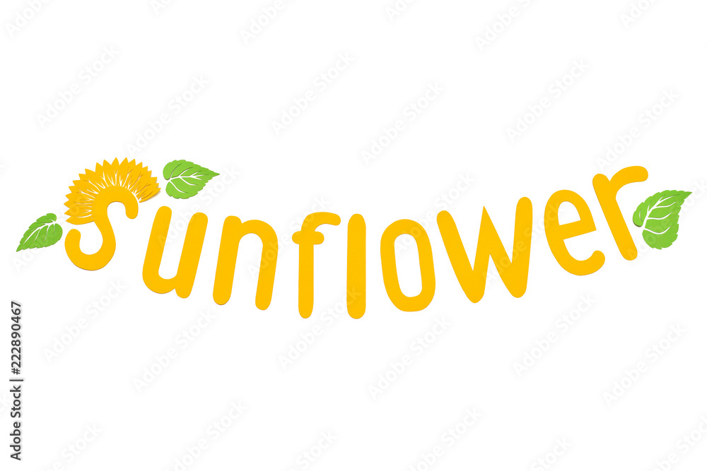 Fototapeta premium Word sunflower applique made of paper isolated on white background. Creative idea emblem. Flat lay, top view