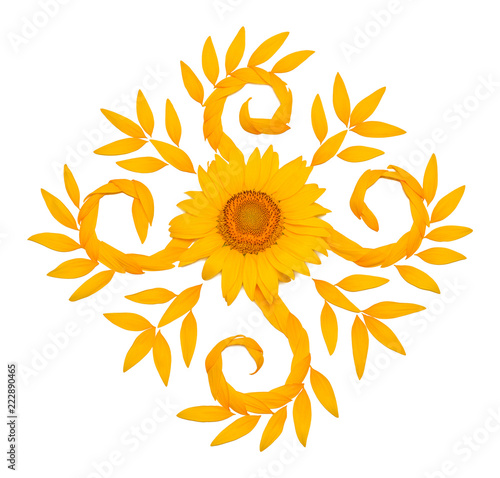 Fototapeta Naklejka Na Ścianę i Meble -  Creative idea flower of a sunflower and petals flying in the wind. Food, products. Abstraction and wave. Floral pattern. Agricultural topics. Place for text. Flat lay, top view