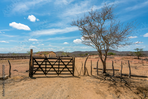Cariri, Paraíba, Brazil - February, 2018: Landscape of a Simple life background with a beautiful house in a dry land