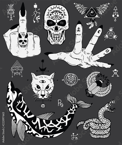 Design set with scary gothic and mystic symbols - skull, dolphin, cat, snake. Esoteric, occult and Halloween concept, mystic vector illustrations for music album, book cover, t-shirts