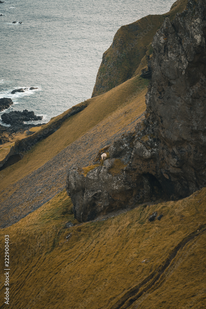 Iceland landscape nature
