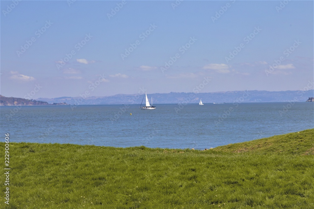 Fototapeta premium Sailing