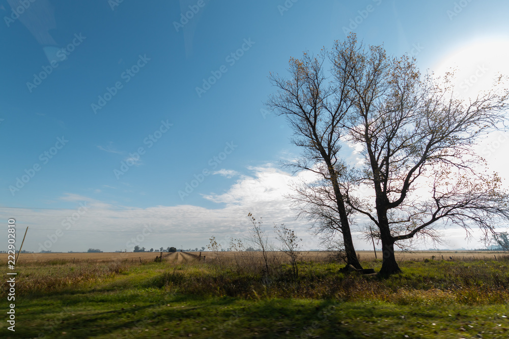 Campo Argentino