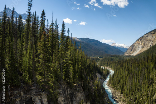 Aerial panoramic view of a beautiful canyon in the Canadian Rockies during a vibrant sunny day. Taken in Yoho National Park, BC, Canada.