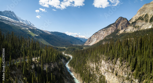 Aerial panoramic view of a beautiful canyon in the Canadian Rockies during a vibrant sunny day. Taken in Yoho National Park  BC  Canada.