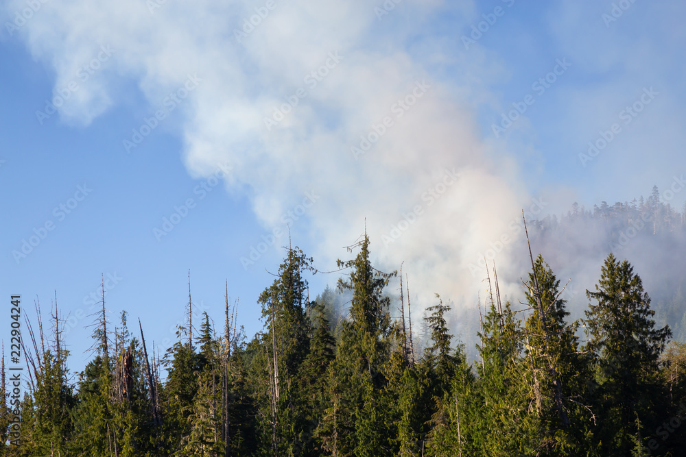 BC Wild Fire during a hot sunny summer day. Taken near Port Alice, Northern Vacouver Island, British Columbia, Canada.