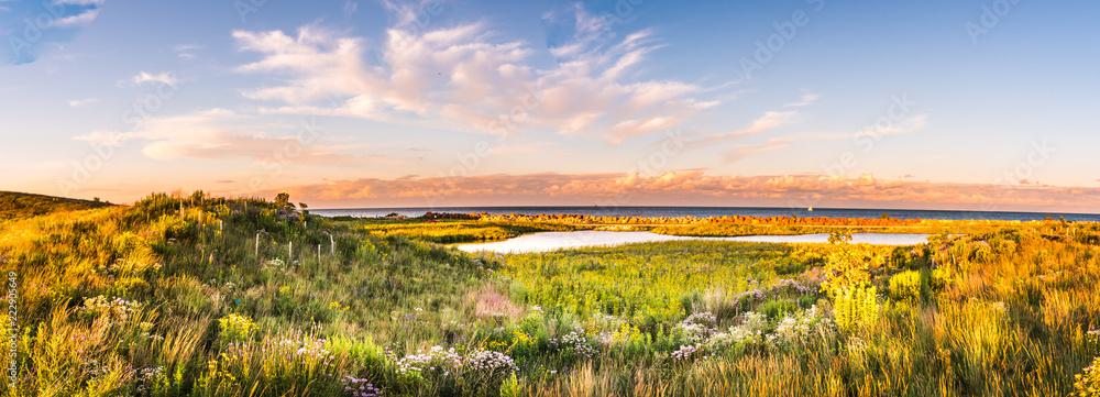 Naklejka premium Chicago landscape photo at Northerly Island looking across pool of water and rolling hills during beautiful sunset with wildflowers and grass in foreground at golden hour with clouds in blue sky above