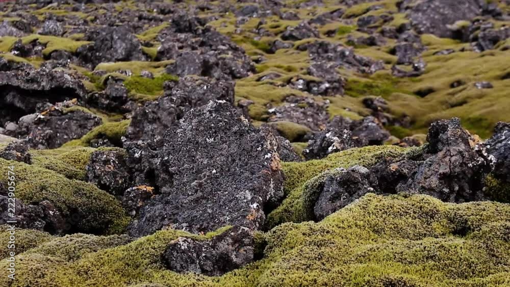 volcano lava rock and moss volcano lava rock and moss