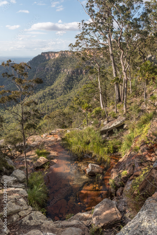 The site of a waterfall (currently virtually dry) on the sandstone escarpment of Blackdown Tableland National Park, Queensland, Australia.
