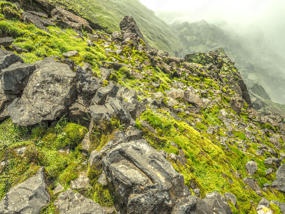 Green Mossy Rocks And Misty Water by Steve Daggar Photography