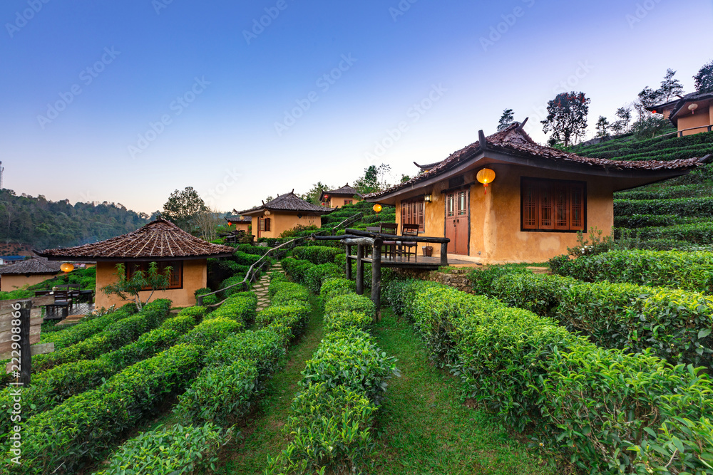 Ban Rak Thai, a Chinese settlement in tea field with fog in the morning, Mae Hong Son, Thailand Ban Rak Thai, a Chinese settlement in tea field with fog in the morning, Mae Hong Son, Thailand