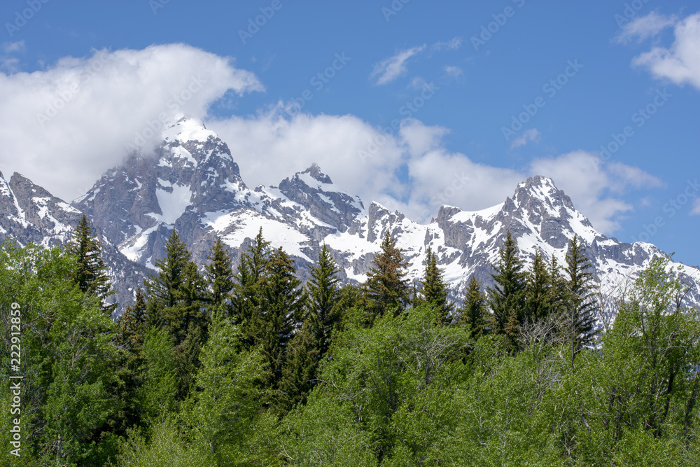 Obraz premium wispy tetons