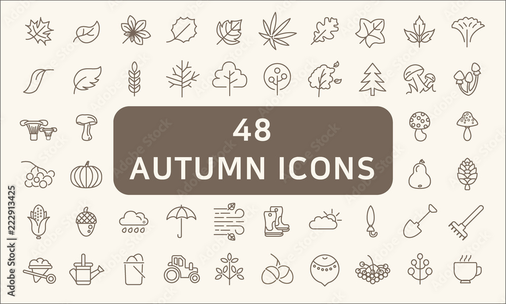 Set Of 48 Autunm Outline Icons