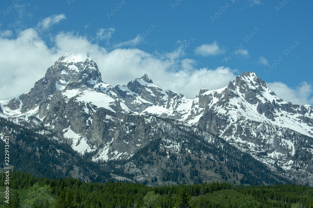 Obraz premium the grand tetons vista