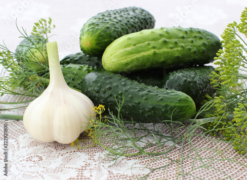 Cucumbers with garlic and dill on the table photo