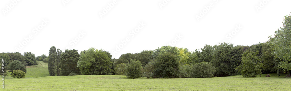 Fototapeta premium Very high definition Treeline isolated on a white background