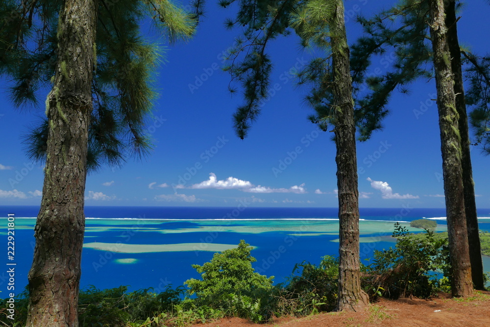 lagon sous la forêt tahitienne