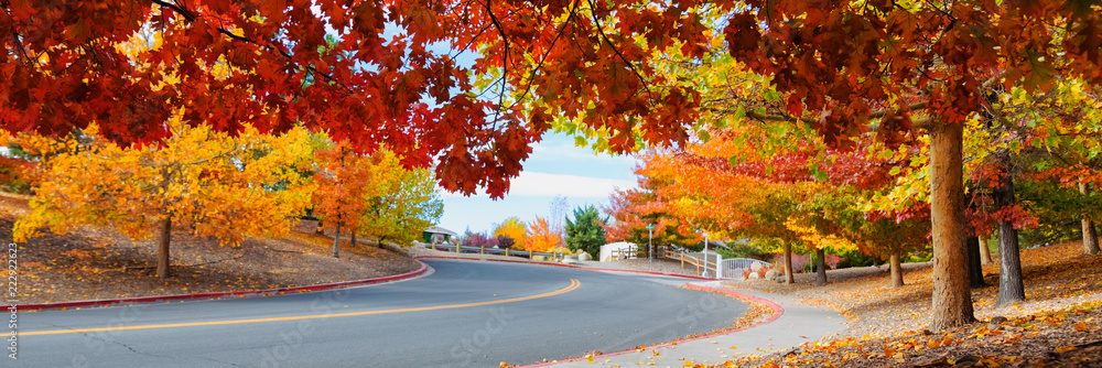 Obraz premium Road through colorful trees in autumn 