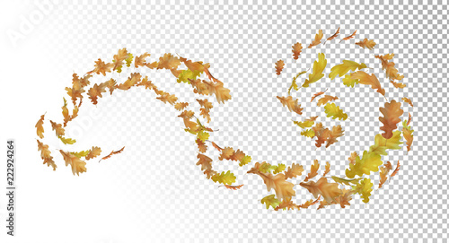 Flying Autumn Leaves