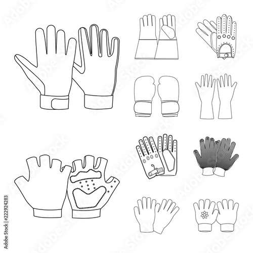 Vector design of glove and winter icon. Collection of glove and equipment stock symbol for web. © Svitlana