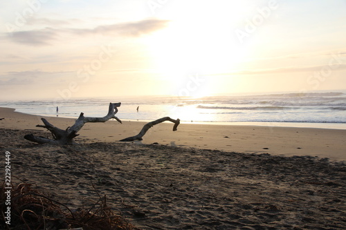 beach © Monishankar