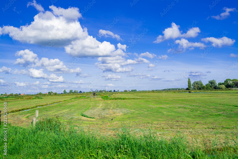 オランダの牧草地帯