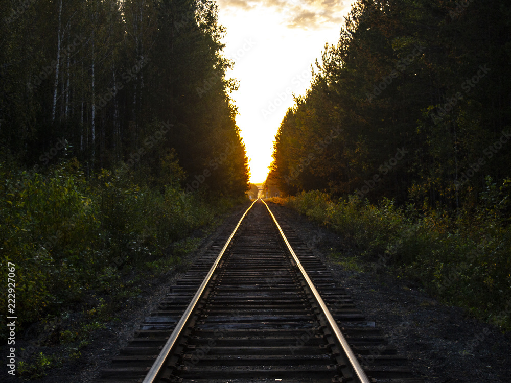 Fototapeta premium railway in autumn forest