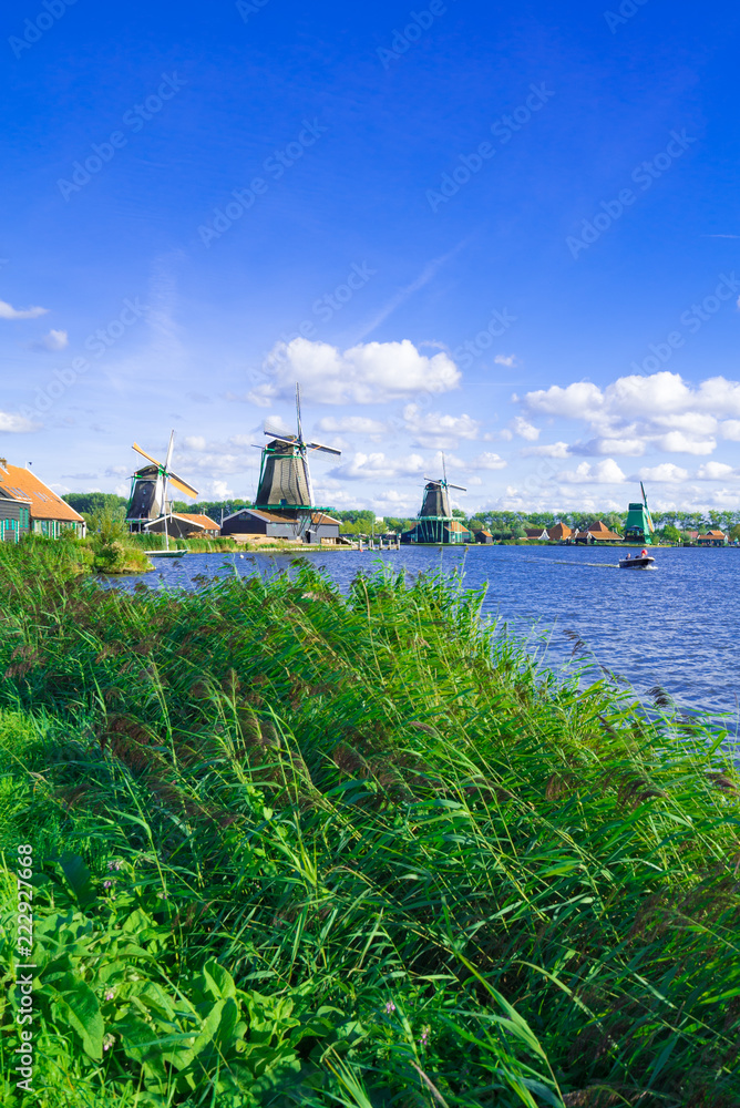 Fototapeta premium オランダの風車のある光景