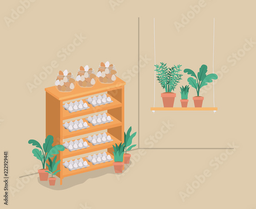 plants vivarium in shelving