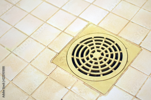 Bathroom floor drain with hairy strainer