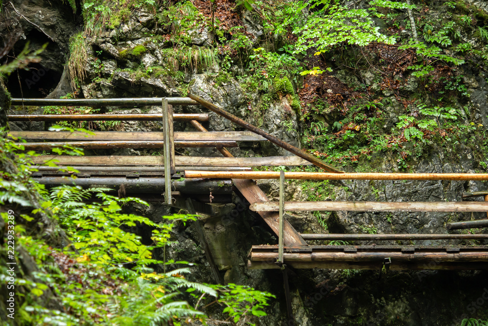 Wooden stairs through a water gorge in Austria Wooden stairs through a water gorge in Austria