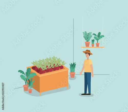 man with plants vivarium in shelving