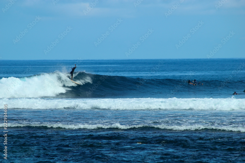 surf 974 surf 974