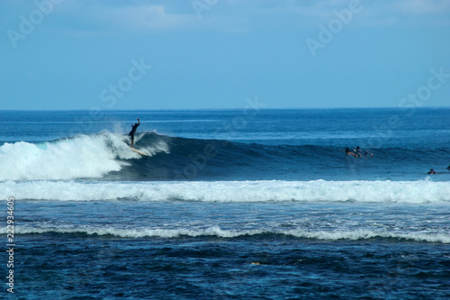 surf 974