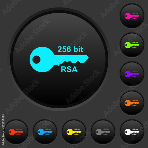 256 bit rsa encryption dark push buttons with color icons