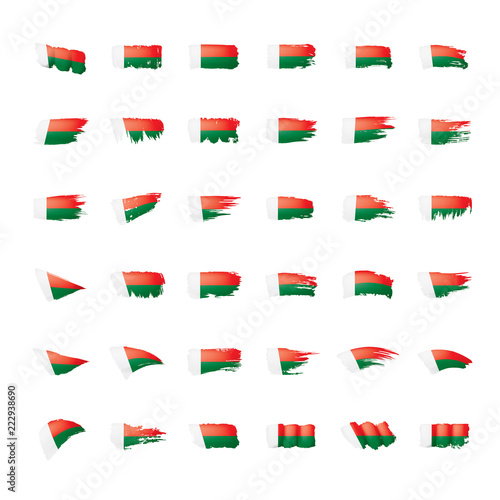 Madagascar flag  vector illustration on a white background.