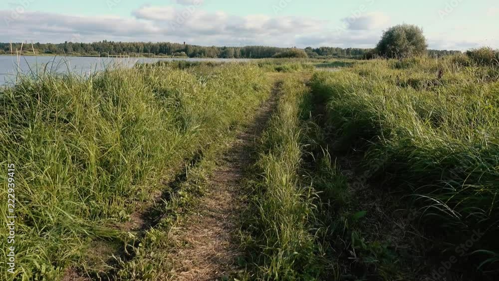 The point of view of a hunter or fisherman, a man who walks along the river bank among the tall grass. The point of view of a hunter or fisherman, a man who walks along the river bank among the tall grass.