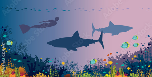 Freediver, sharks, coral reef and underwater sea.