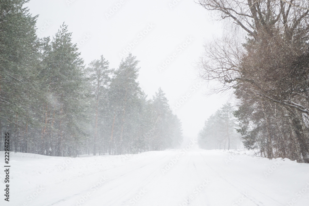 Fototapeta premium Beautiful frosty and snow season winter on the road in the country