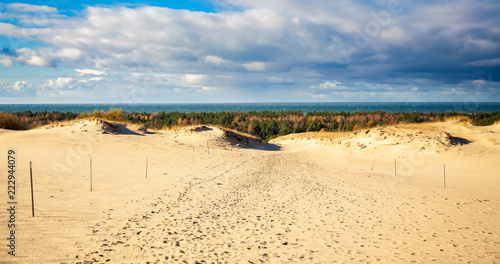 landscape from Grey Dunes