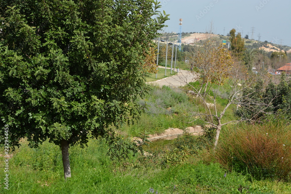 Rosh HaAyin Landscape 2
