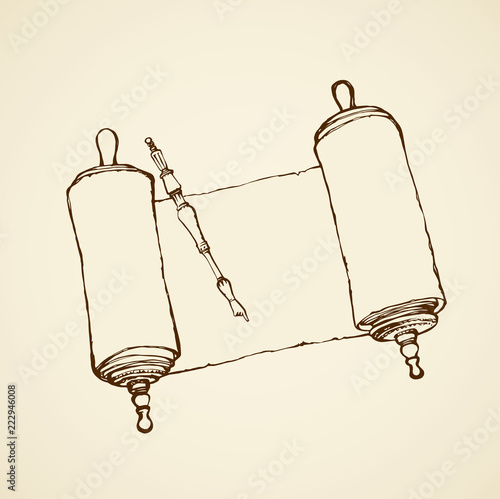 Scroll. Vector drawing