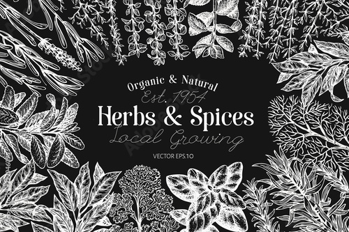 Culinary herbs and spices banner template. Vector background for design menu, packaging, recipes, label, farm market products. Hand drawn vintage botanical illustration on chalk board.
