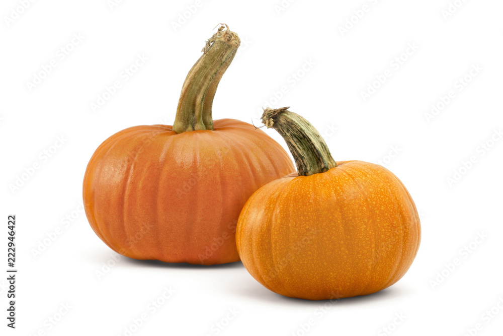 Fototapeta premium Two pumpkins isolated on white background